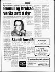 Síða 7