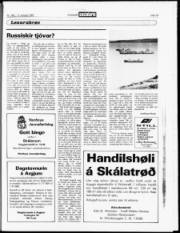 Síða 14