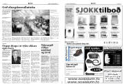Síða 14