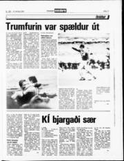 Síða 11