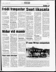Síða 13