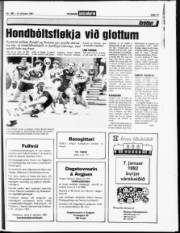 Síða 15
