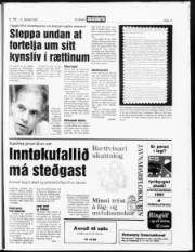 Síða 17