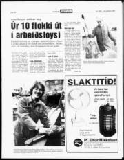 Síða 18