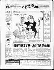 Síða 20