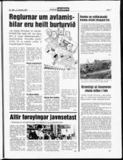 Síða 7
