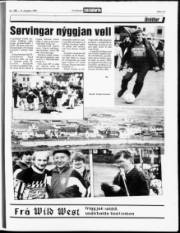 Síða 13