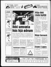 Síða 20