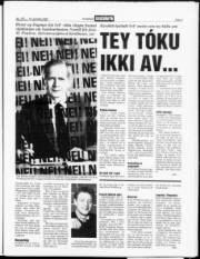 Síða 3