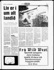 Síða 5