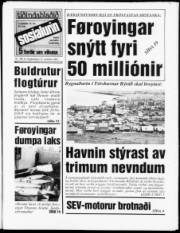 Síða 1