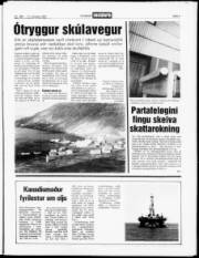 Síða 3