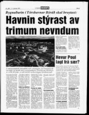 Síða 5