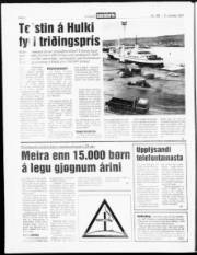 Síða 6
