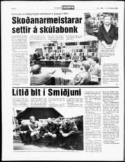 Síða 8