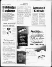 Síða 17