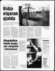 Síða 3
