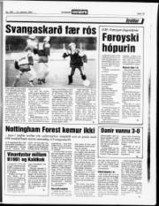 Síða 15