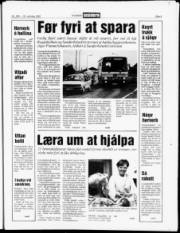 Síða 5
