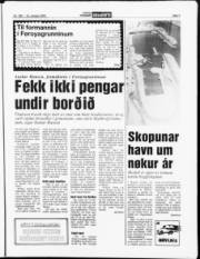Síða 7