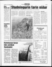Síða 9