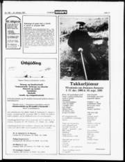Síða 17