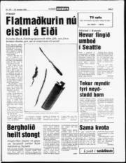 Síða 5