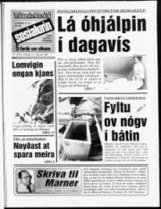 Síða 1