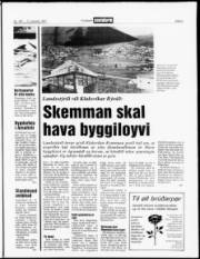Síða 3