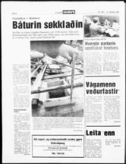 Síða 4