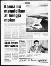Síða 8