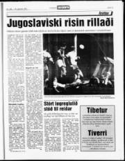 Síða 13