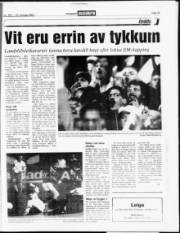 Síða 15