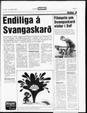 Síða 17