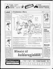 Síða 20