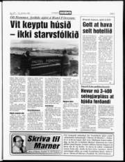 Síða 3