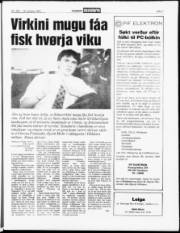 Síða 7
