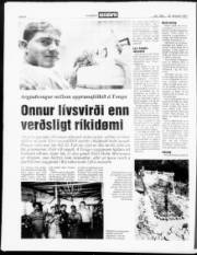 Síða 8