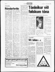 Síða 17