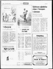 Síða 18