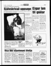 Síða 3
