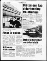 Síða 5
