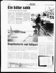 Síða 6
