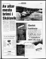 Síða 15
