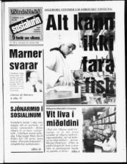Síða 1