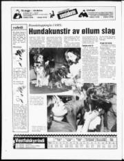 Síða 16