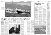 Síða 17