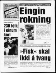 Síða 1