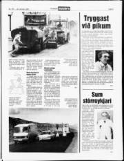Síða 5