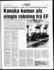 Síða 7